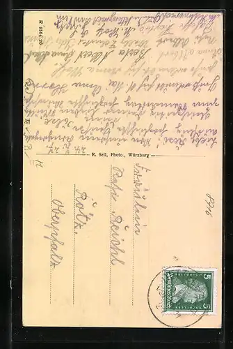 AK Dettelbach a. M., Klosterkirche, Rathaus, Flusspartie, Panorama