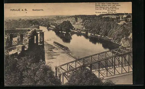 AK Halle a. S., Saalepartie mit Brücke