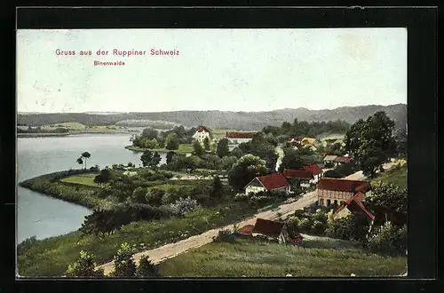 AK Binenwalde /Ruppiner Schweiz, Blick auf den Ort von Anhöhe