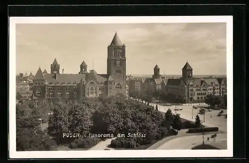 AK Posen / Poznan, Panorama am Schloss