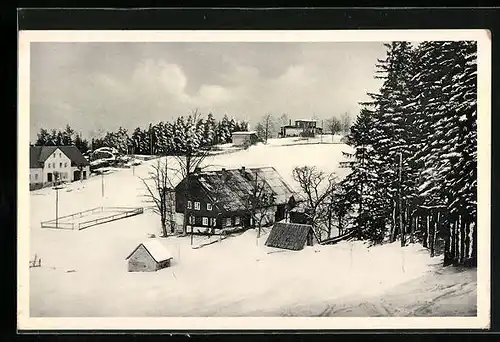 AK Hainberg i. Riesengebirge, Landhaus N 223, v. Heinrich Simon