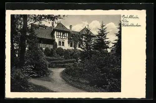 AK Bad Altheide, Villa Waldschlösschen