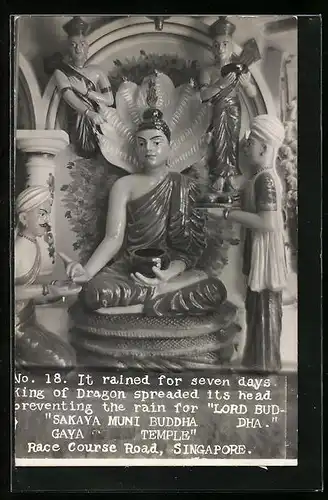 AK Singapore, Race Course Road, Gaya Tiger Temple, No. 18, King of Dragon spreading its head