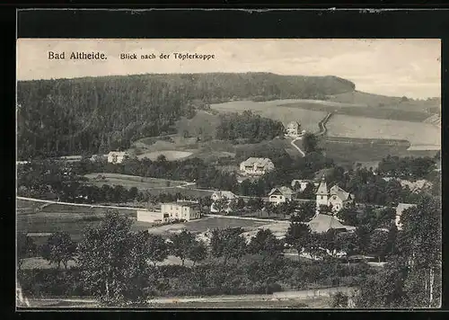 AK Bad Altheide, Blick auf die Ortschaft mit Töpferkoppe