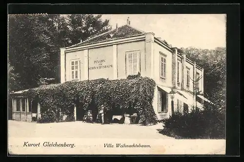 AK Gleichenberg, Blick auf die Villa Weihnachtsbaum