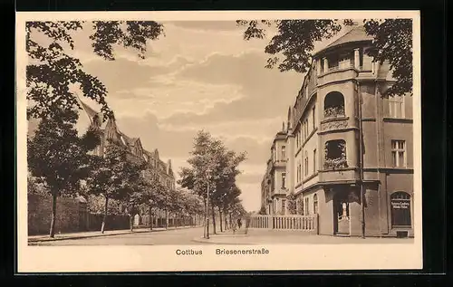 AK Cottbus, Bäckerei von Wilhelm Flöther in der Briesenerstrasse