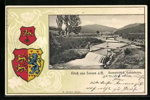 Passepartout-Lithographie Seesen a. H., Kurparksblick thalwärts, Wappen