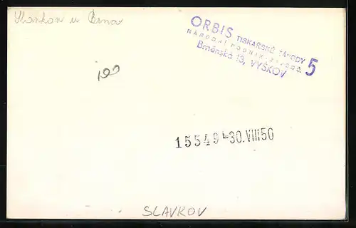 AK Slavkov, Nasi Mladezi