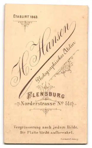 Fotografie H. Hansen, Flensburg, Norderstr. 51, Halbwüchsiger Knabe in modischer Kleidung