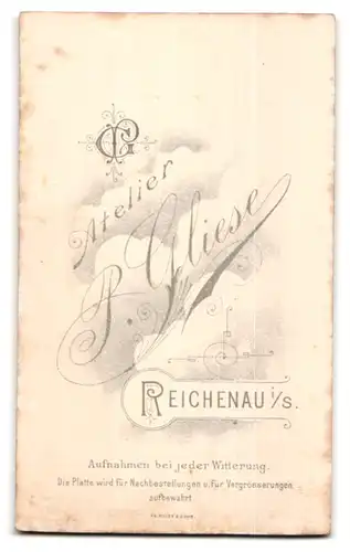Fotografie Gliese, Reichenau i. S., blonder junger Knabe im dunklen Anzug mit Bibel in der Hand