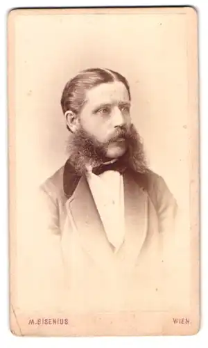 Fotografie M. Bisenius, Wien, Alserhauptstr. 27, Portrait junger Mann im Anzug mit Fliege und wuchtigem Backenbart