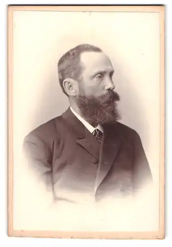 Fotografie A. Schrauber, Warnsdorf, Portrait Herr im Anzug mit Vollbart im Seitenprofil