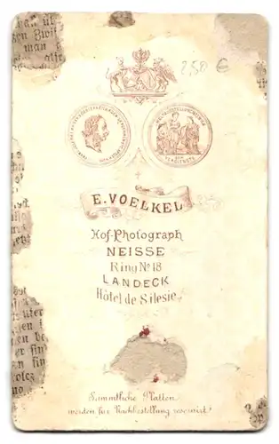 Fotografie E. Voelkel, Neisse, Ring 18, Portrait Herr im Anzug mit Backenbart und Fliege