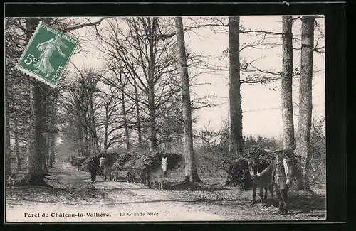 AK Château-la-Vallière, La Grande Allée