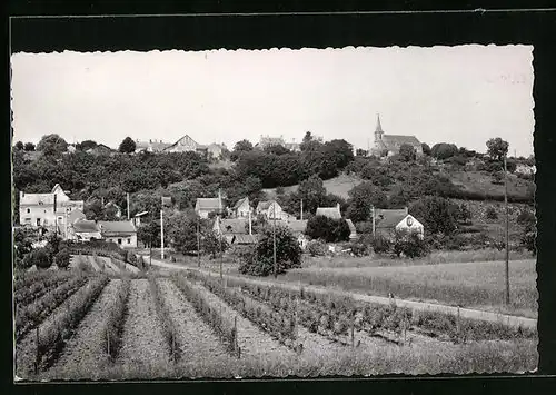 AK Saint-Michel-sur-Loire, Vue panoramique