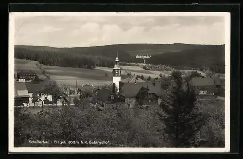AK Schellerhau /Erzgeb., Ortsansicht mit Kirche