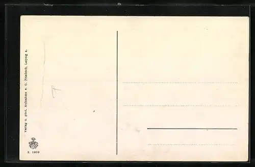 AK Naumburg, Ortsansicht aus der Vogelschau