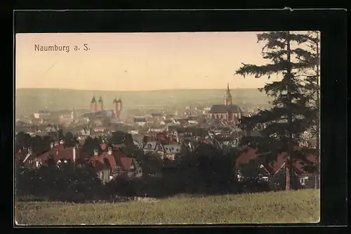 AK Naumburg a. S., Ortsansicht aus der Ferne