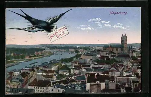 AK Magdeburg, Ortsansicht aus der Vogelschau, Schwalbe