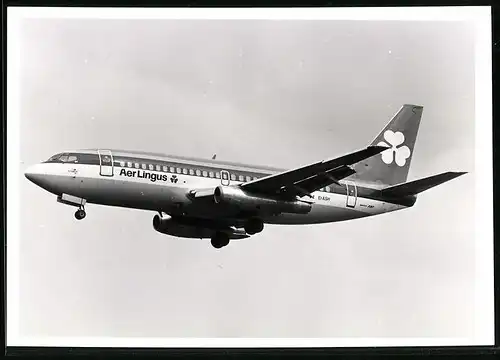 Fotografie Flugzeug Boeing 737, Passagierflugzeug Aer Lingus, Kennung EI-ASH