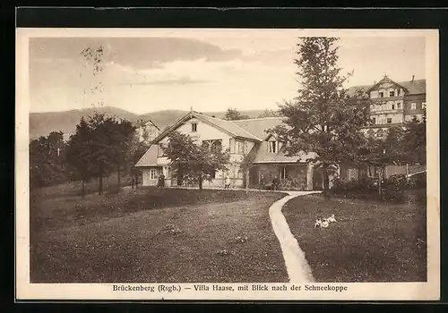 AK Brückenberg, Villa Haase, mit Blick nach der Schneekoppe