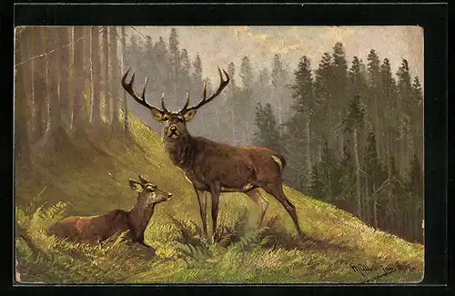 Künstler-AK M. Müller jun.: Hirsch mit Hirschkuh am Waldesrand