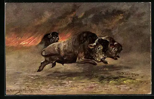 Künstler-AK M. Müller jun.: Bisons /Wisente flüchten vor der Feuersbrunst
