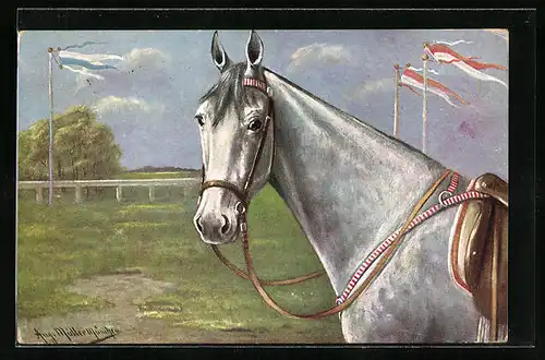 Künstler-AK August Müller - München: Rennpferd mit Sattel
