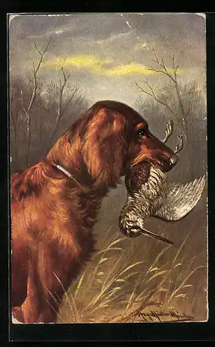 Künstler-AK August Müller - München: Jagdhund mit erlegter Schnepfe