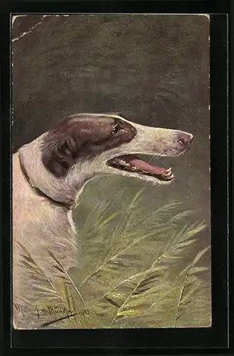 Künstler-AK M. Müller jun.: Windhund inmitten von Farnen
