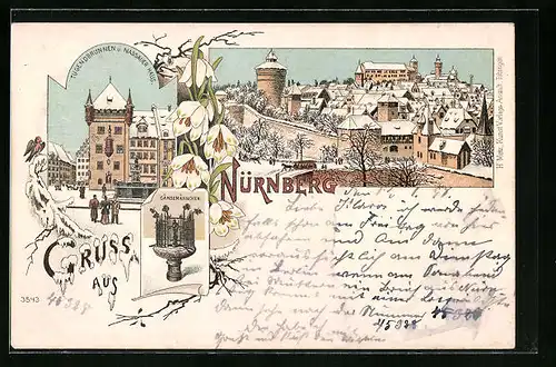 Winter-Lithographie Nürnberg, Tugendbrunnen und Nassauer Haus, Gänsemännchen