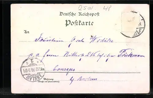 Lithographie Rostock i. M., Kröpeliner Tor, Stadttheater, Dampfer