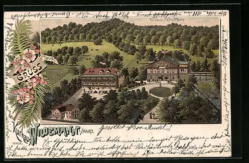 Lithographie Wildemann /Harz, Kurhotel u. Villa Maria aus der Vogelschau