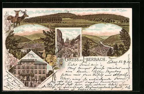 Lithographie Eberbach, Hotel Leininger Hof, Totalansicht