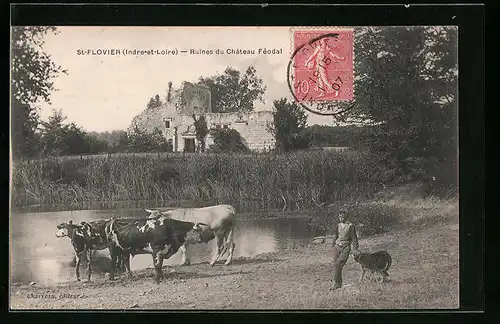 AK St-Flovier, Ruines du Chateau Feodal