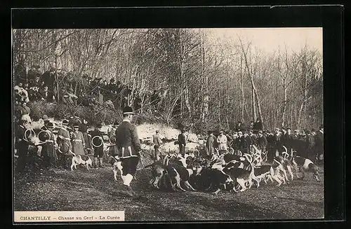 AK Chantilly, Chasse au Cerf, La Curee
