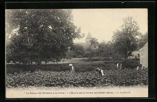 AK Rosoy, Le retour de l`Enfance a la Terre, L`Oeuvre de la Ferme de Rosoy