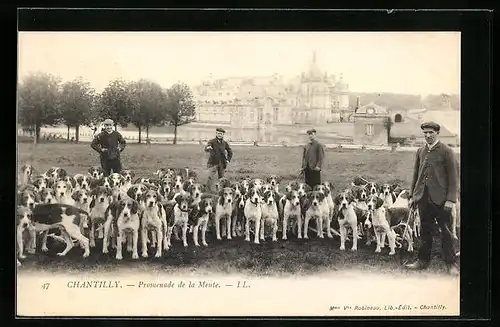 AK Chantilly, Promenade de la Meute