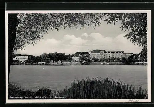 AK Strausberg /Mark, Blick über den Straussee