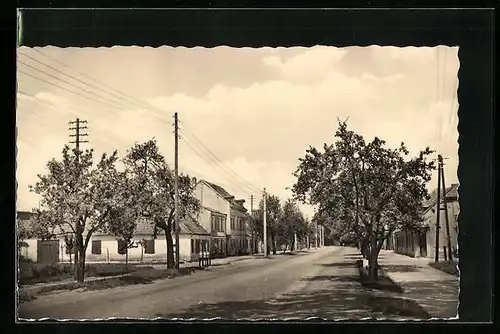 AK Zinna, Kloster Zinna, Berliner Strasse mit Telegraphenmast