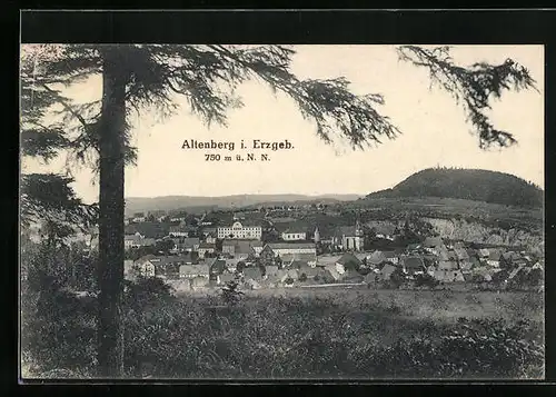 AK Altenberg i. Erzgeb., Generalansicht der Stadt, Blick zur Kirche