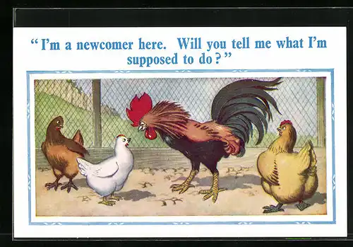 Künstler-AK Donald McGill: I`m a newcomer here. Will you tell me what I`m supposed to do?