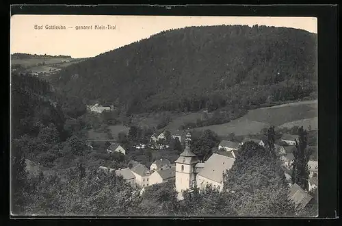 AK Bad Gottleuba, Panorama