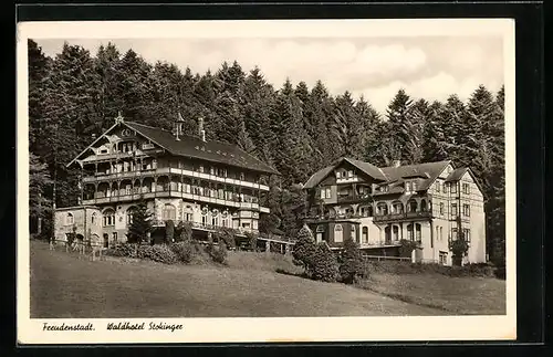 AK Freudenstadt, Waldhotel und Café Stockinger