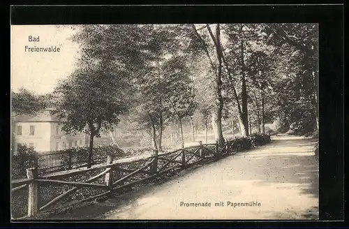 AK Bad Freienwalde, Promenade mit Papenmühle