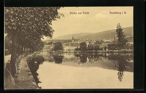 AK Ilsenburg i. H., Partie am Teich