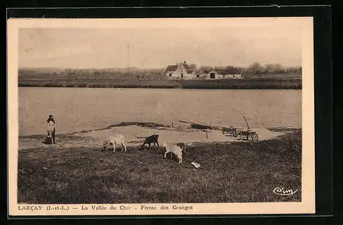 AK Larcay, la Vallée du Cher, Ferme des Granges