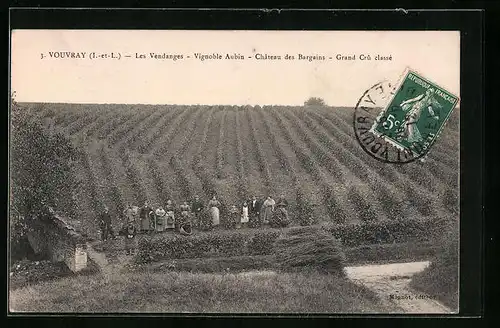 AK Vouvray, Les Vendanges