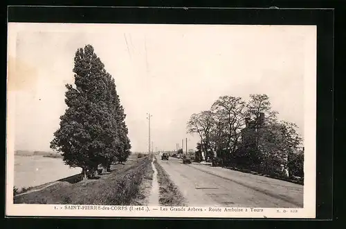 AK Saint-Pierre-des-Corps, les Grands Arbres, route Amboise à Tours