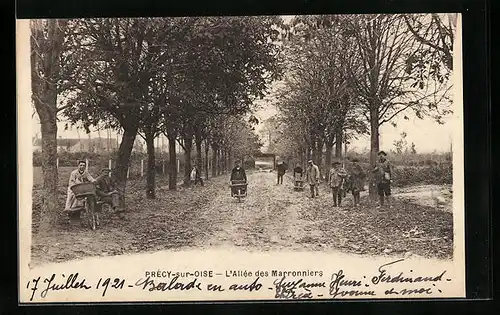 AK Precy-sur-Oise, L`Allee des Marronniers